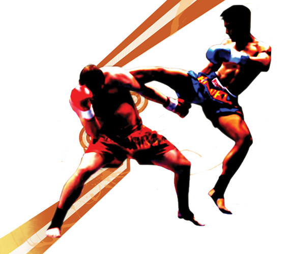 Занятия кикбоксингом в Краевой спортивной школе олимпийского резерва